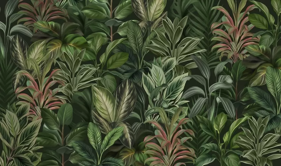 wall murals Thick green tropical foliage w02126