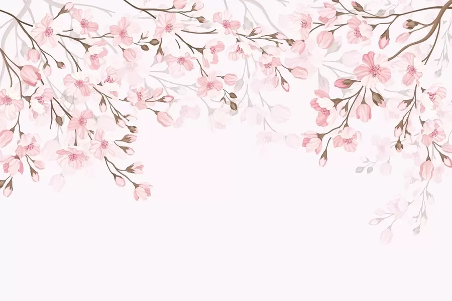 wall murals pink flowering branches on a pink background w02200