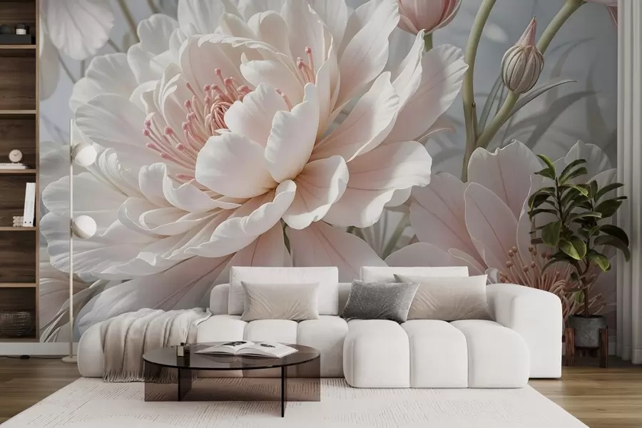 wall murals Large, delicate white and pink peony flowers with soft, fluffy petals against a blurred gray background w08427