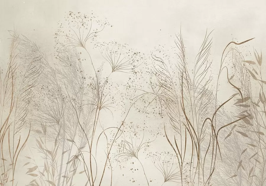 wall murals A monochrome illustration of various beige plants and spikelets with delicate, wispy lines and textures  w08441