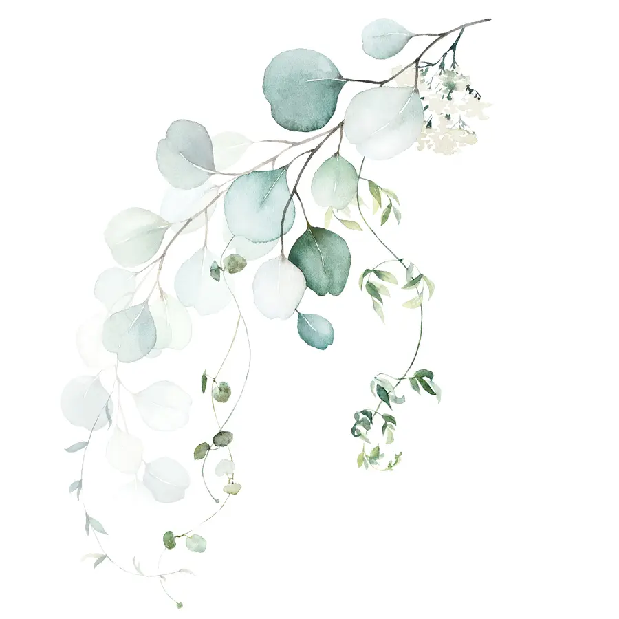 wall murals Branch with leaves u51026