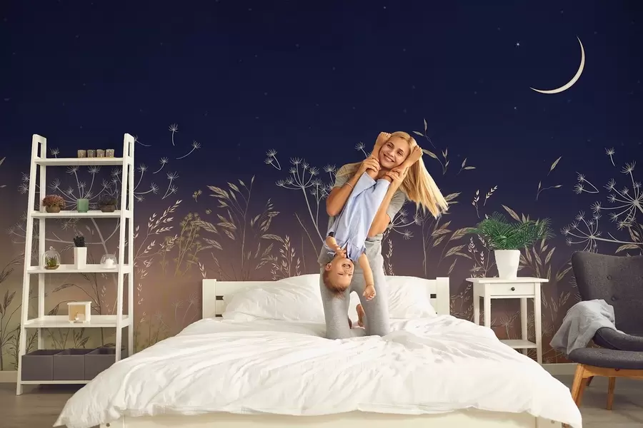 wall murals Dandelions with wildflowers against a sunset background with a blue sky and the moon w08567