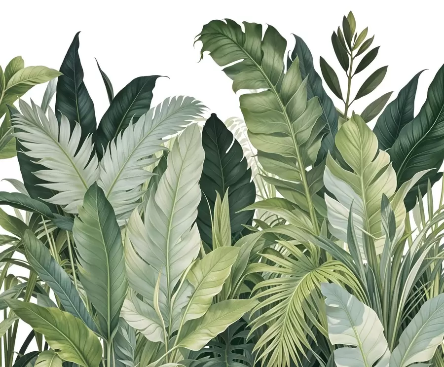 wall murals Tropical foliage with various large green leaves, including banana leaves, palm leaves, and other exotic plant species w08609