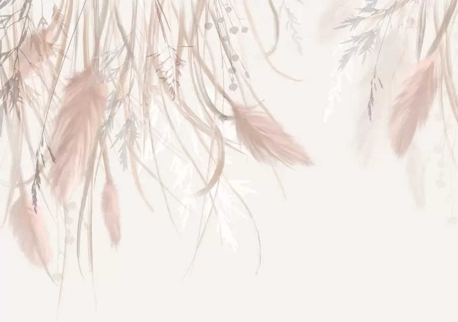 wall murals Soft, wispy pampas grass and spikelets in shades of beige and pink against a light background w08611