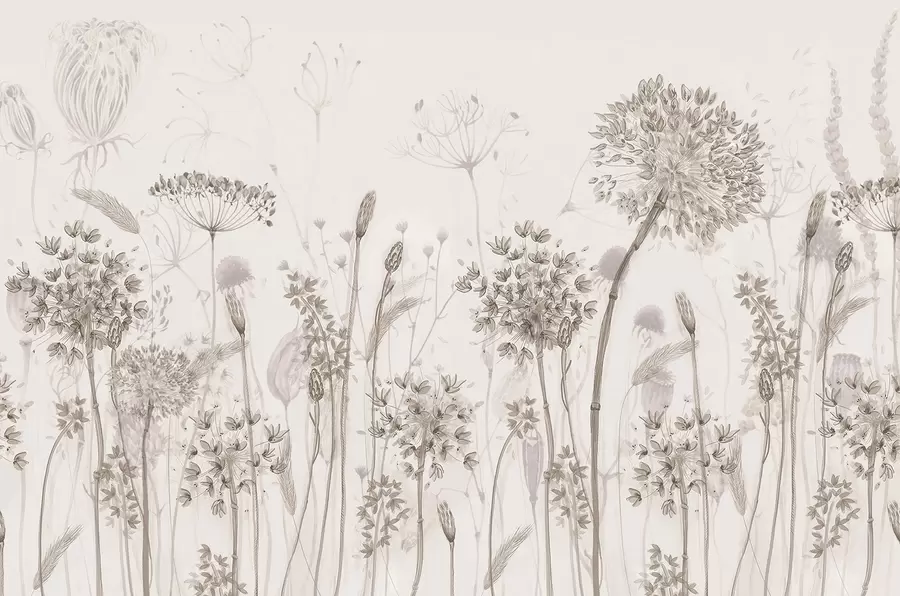wall murals Airy dandelions and wildflowers in watercolor style w08637