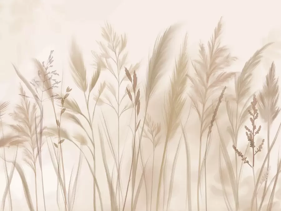 wall murals Tall, delicate grasses, spikelets and plants in soft beige and cream tones, against a light blurred background w08736