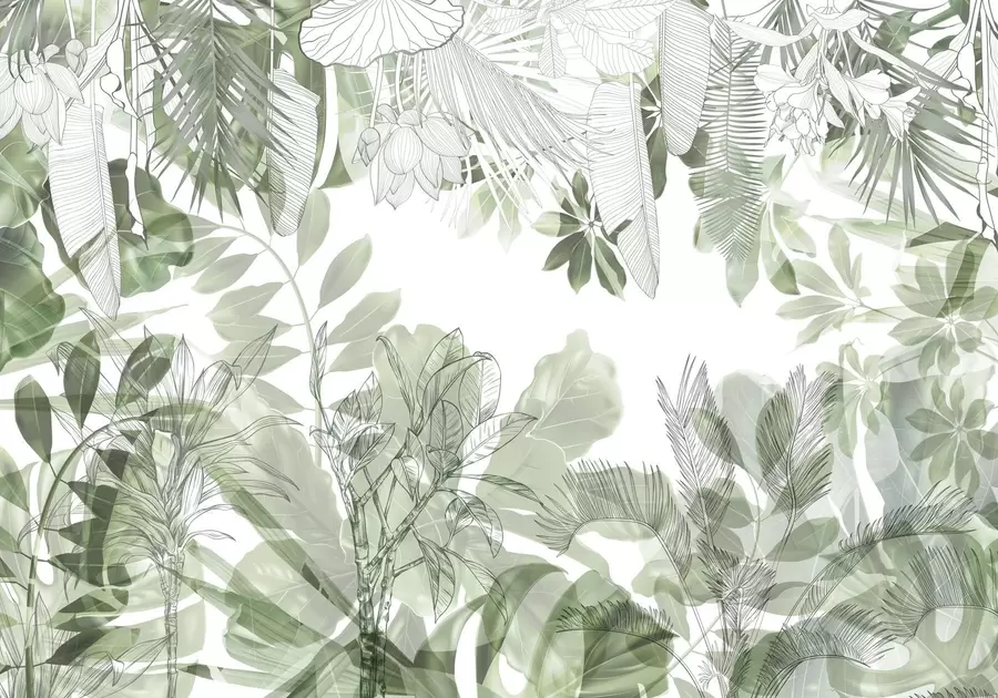 wall murals Green jungle print tropical plants and leaves on a white background w08823