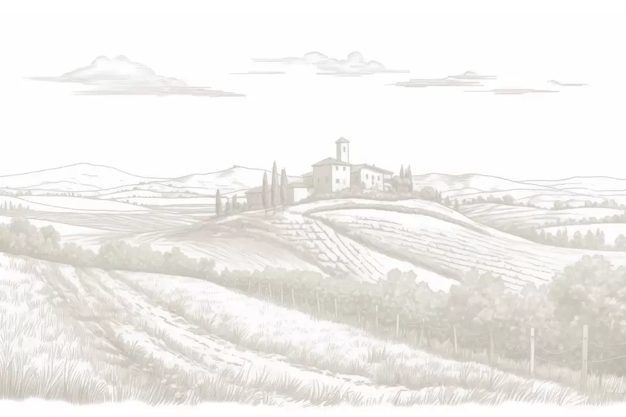 wall murals Tuscany landscapes, Italy, vineyards, nature, old castle, beige colors w03349