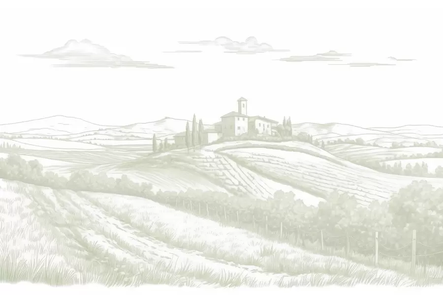 wall murals Tuscany landscapes, Italy, vineyards, nature, old castle, green colors w03349v2
