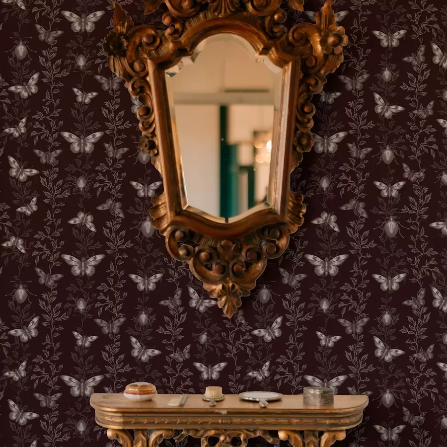 wall murals Composition with butterflies, leaves and insects on dark background a00073v1