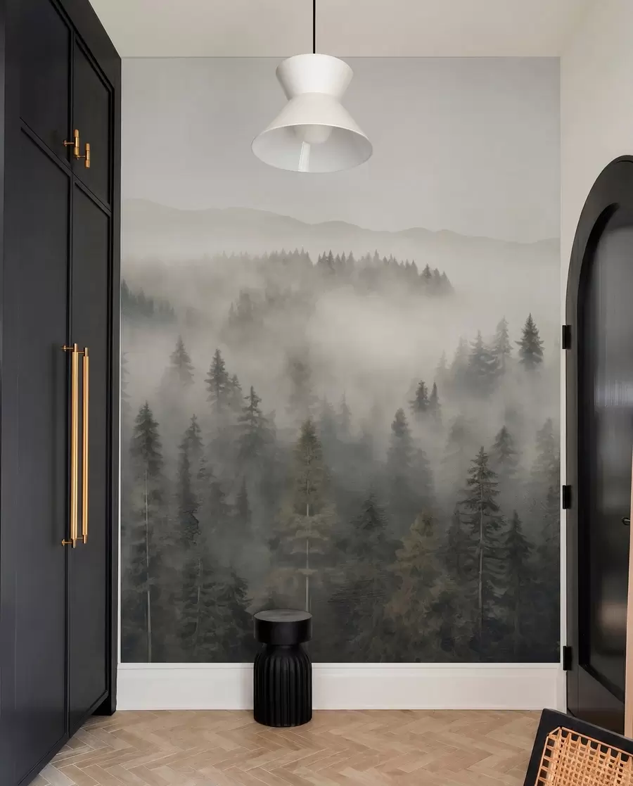 wall murals Foggy coniferous forest w03524