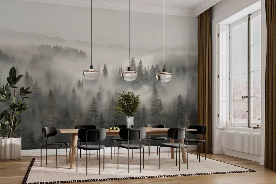 wall murals Foggy coniferous forest w03524