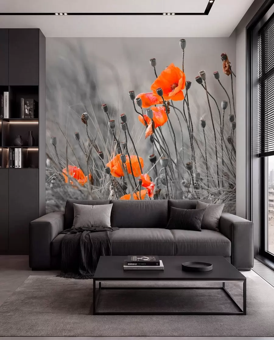 wall murals Field poppies u53411