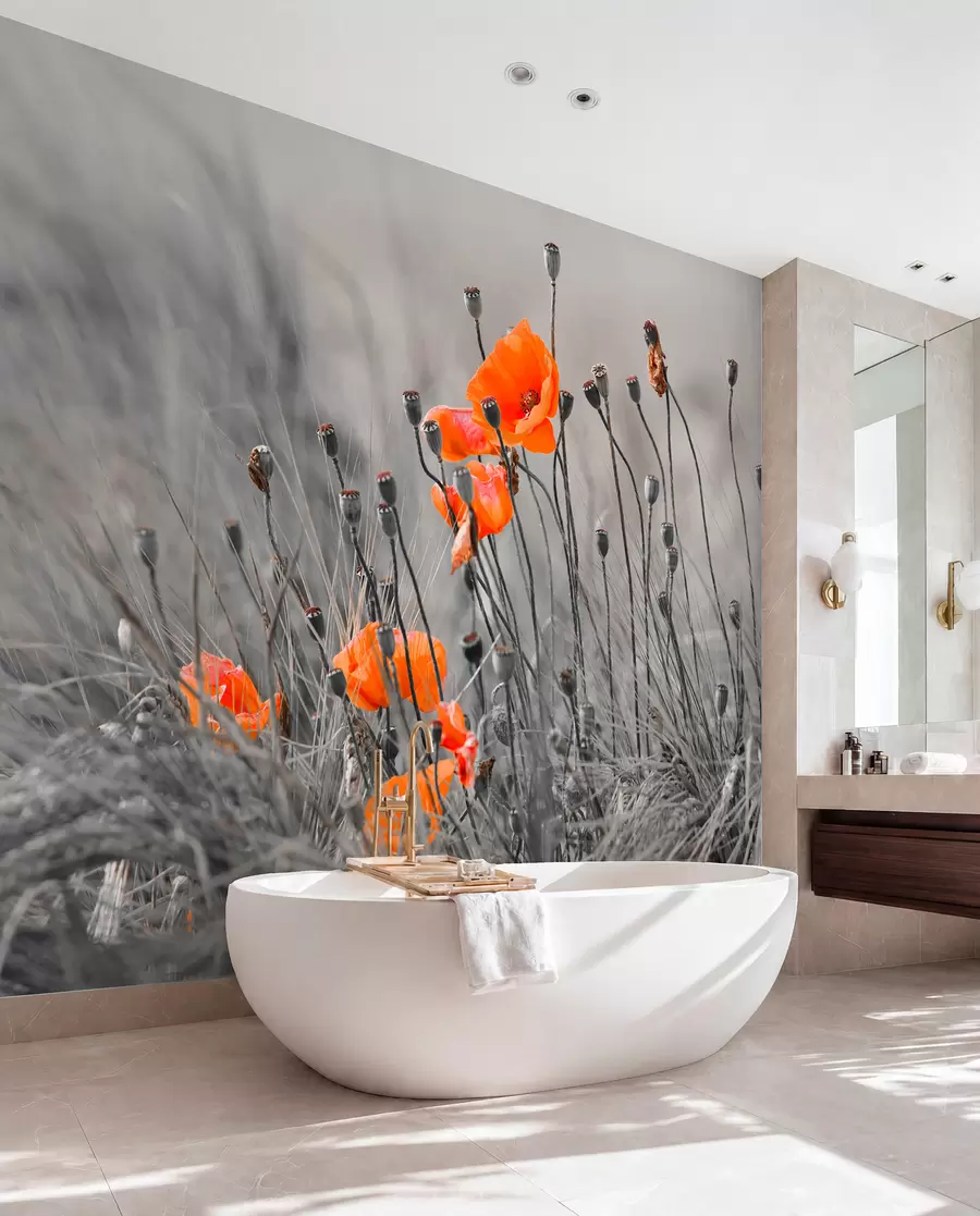 wall murals Field poppies u53411