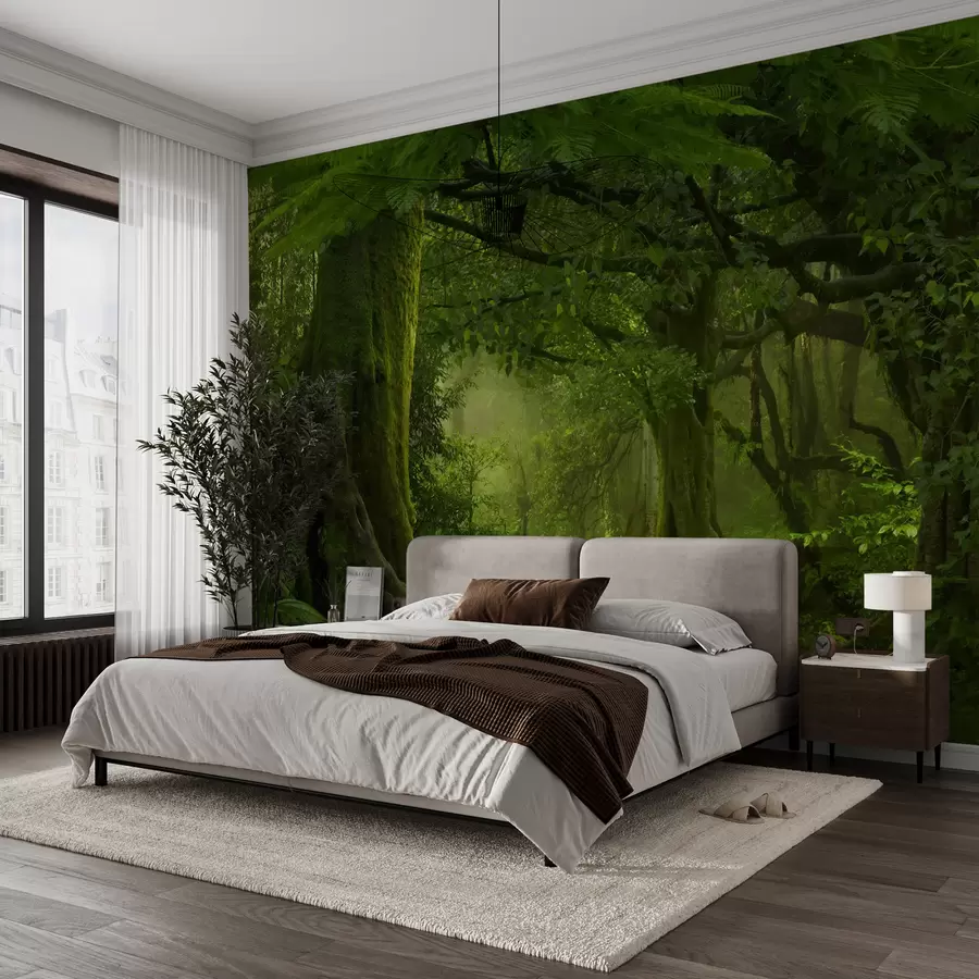 wall murals Ancient forest u56167
