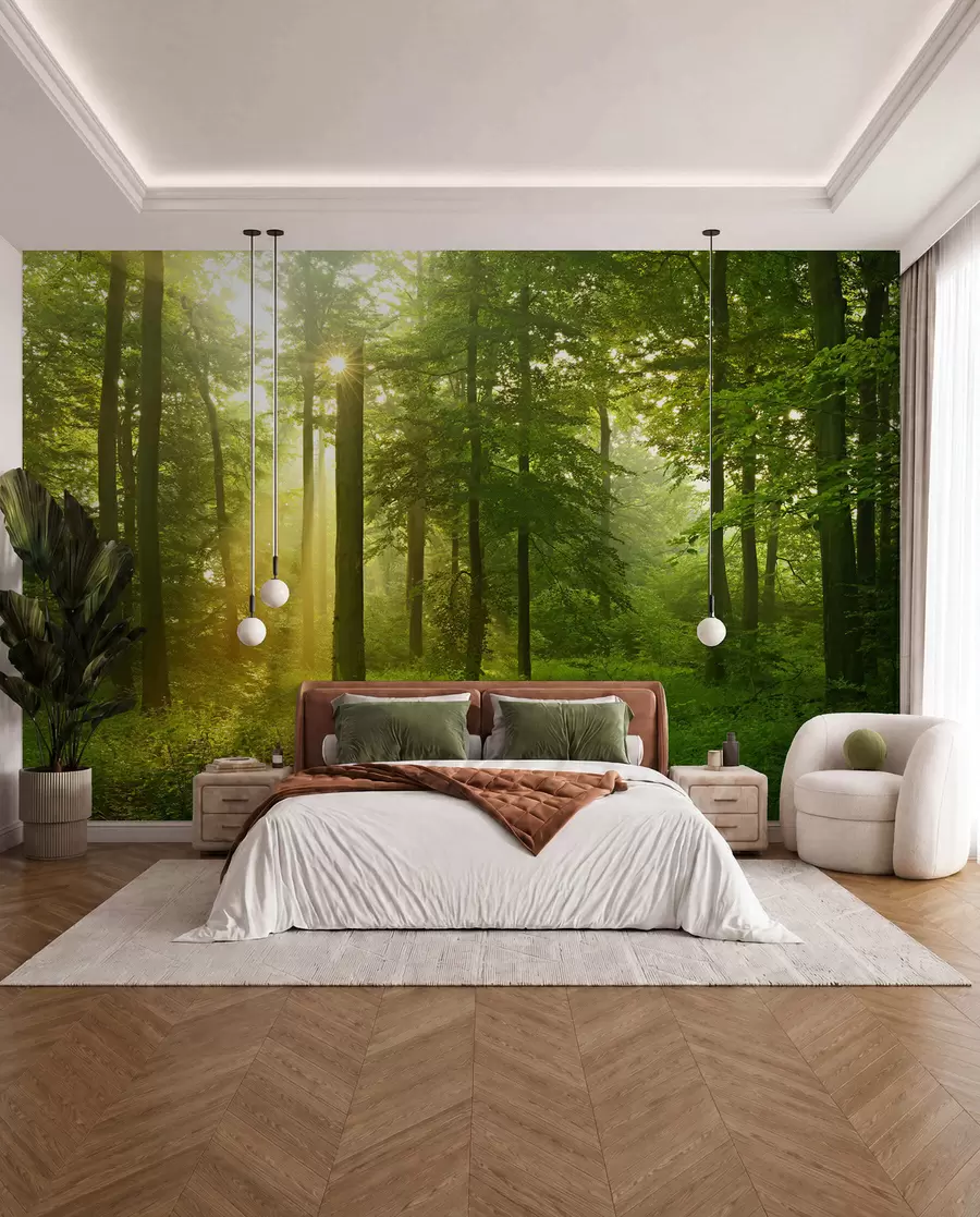 wall murals Silence in the sunny forest u57295