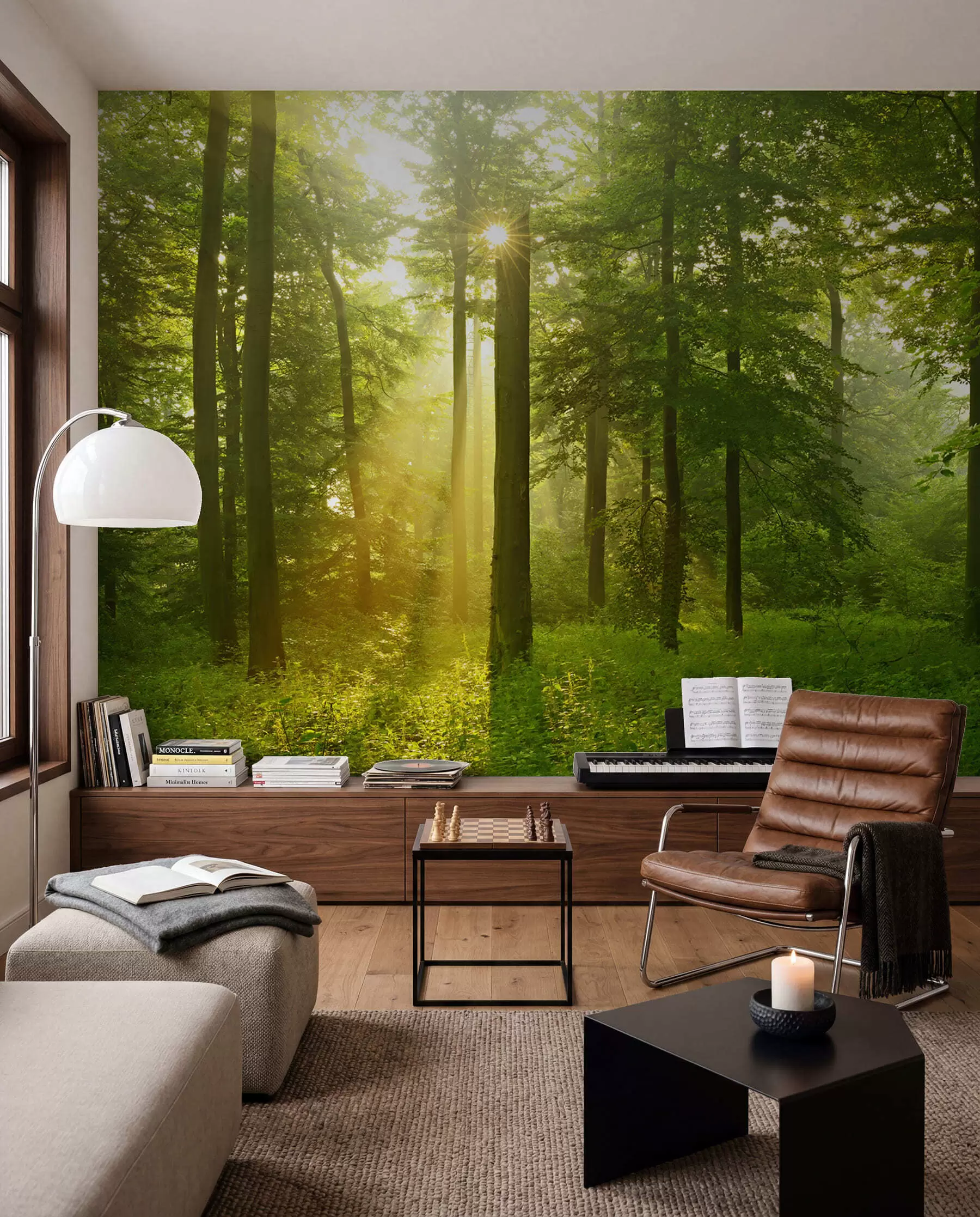 wall murals Sunbeams among the Trunks u57295