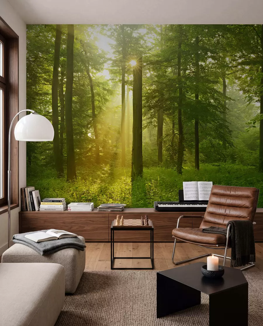 wall murals Silence in the sunny forest u57295