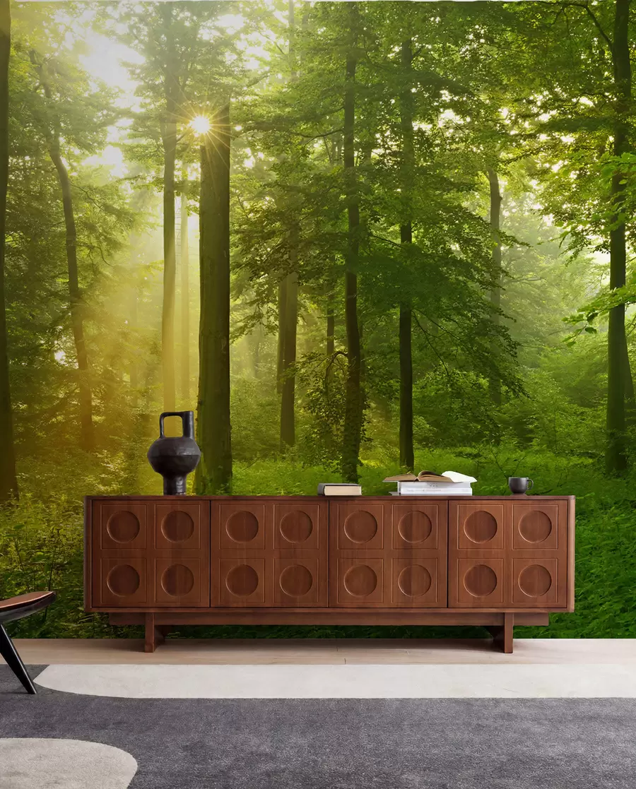 wall murals Silence in the sunny forest u57295