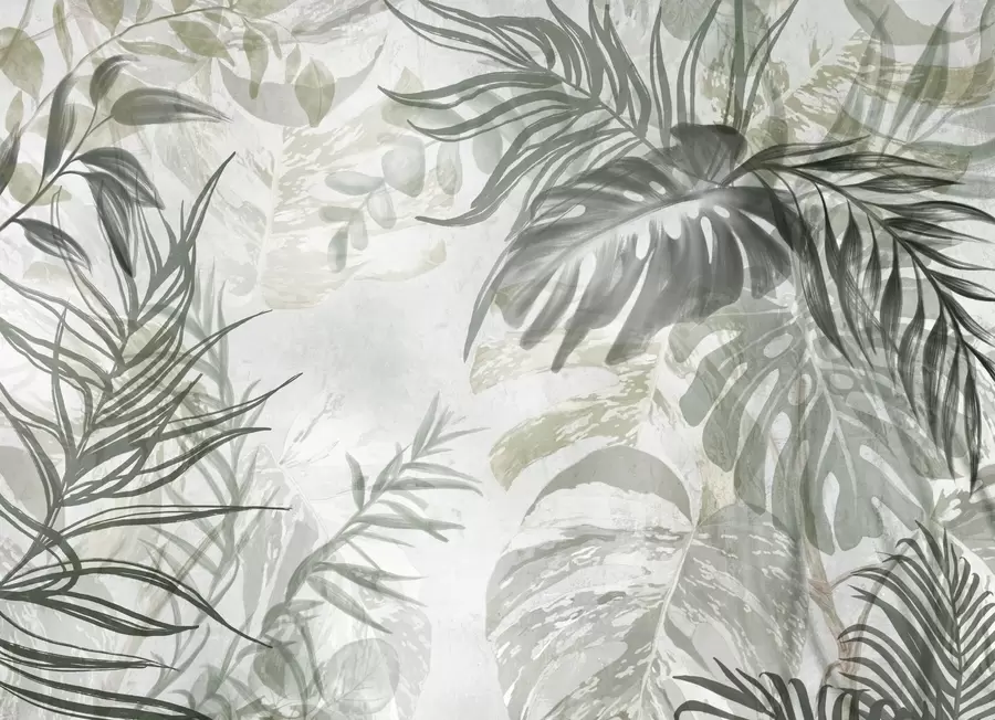 wall murals Monstera and palm leaves in shades of green and gray, botanical, tropical foliage, jungle plants, textured background w09011
