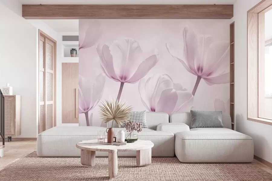 wall murals Beautiful tulips, floral, pink colors, realism w03877v2