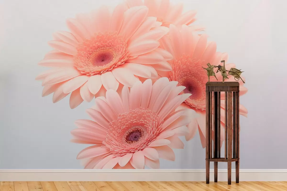 wall murals Gerberas w03929v2