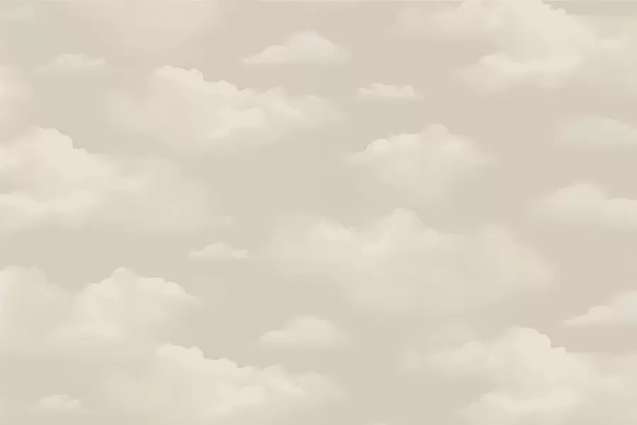 wall murals Creamy clouds on a light beige background w03994