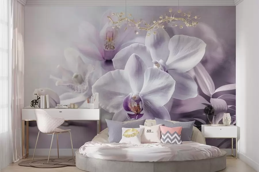 wall murals White and lilac delicate orchid flowers, soft lighting, and a blurred textured background  w09155