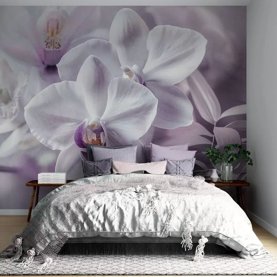 wall murals White and lilac delicate orchid flowers, soft lighting, and a blurred textured background  w09155
