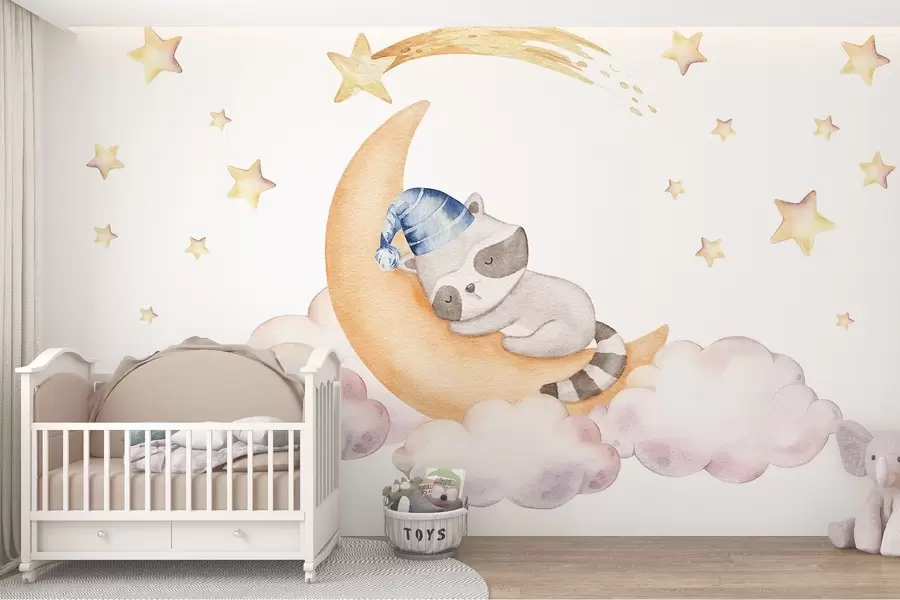 wall murals Raccoon on the moon w09169