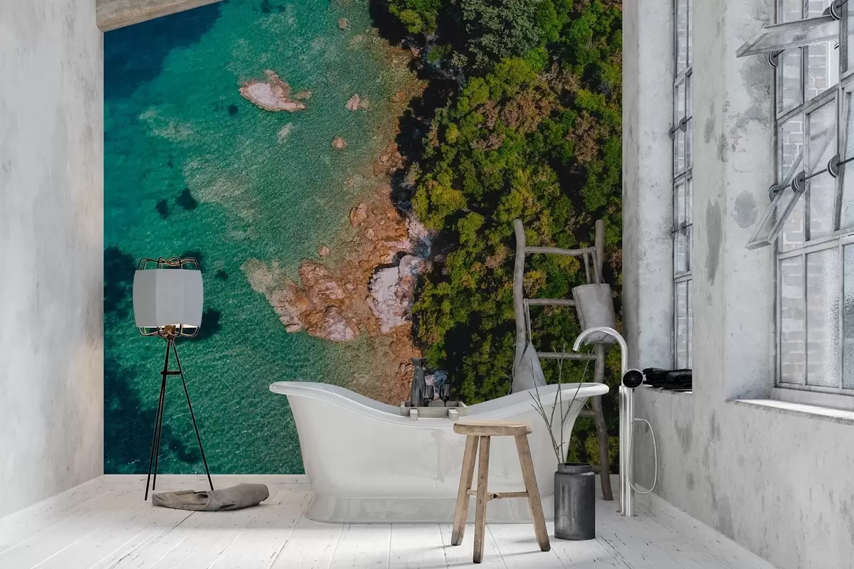 wall murals Spain sea coast with aqumarine water, pine forest, air photography w04099