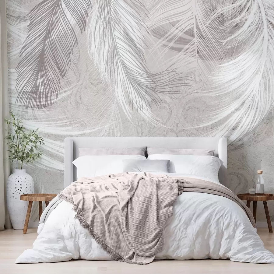 wall murals Delicate feathers w04102