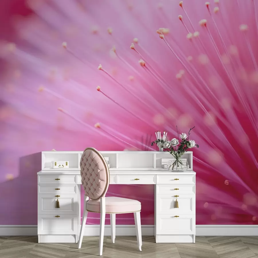 wall murals Pink flower stamens in macro, delicate abstraction w04154