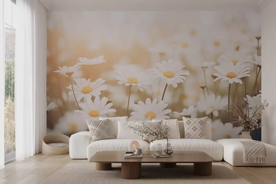 wall murals Wild daisies on a light background with soft focus effect w04161