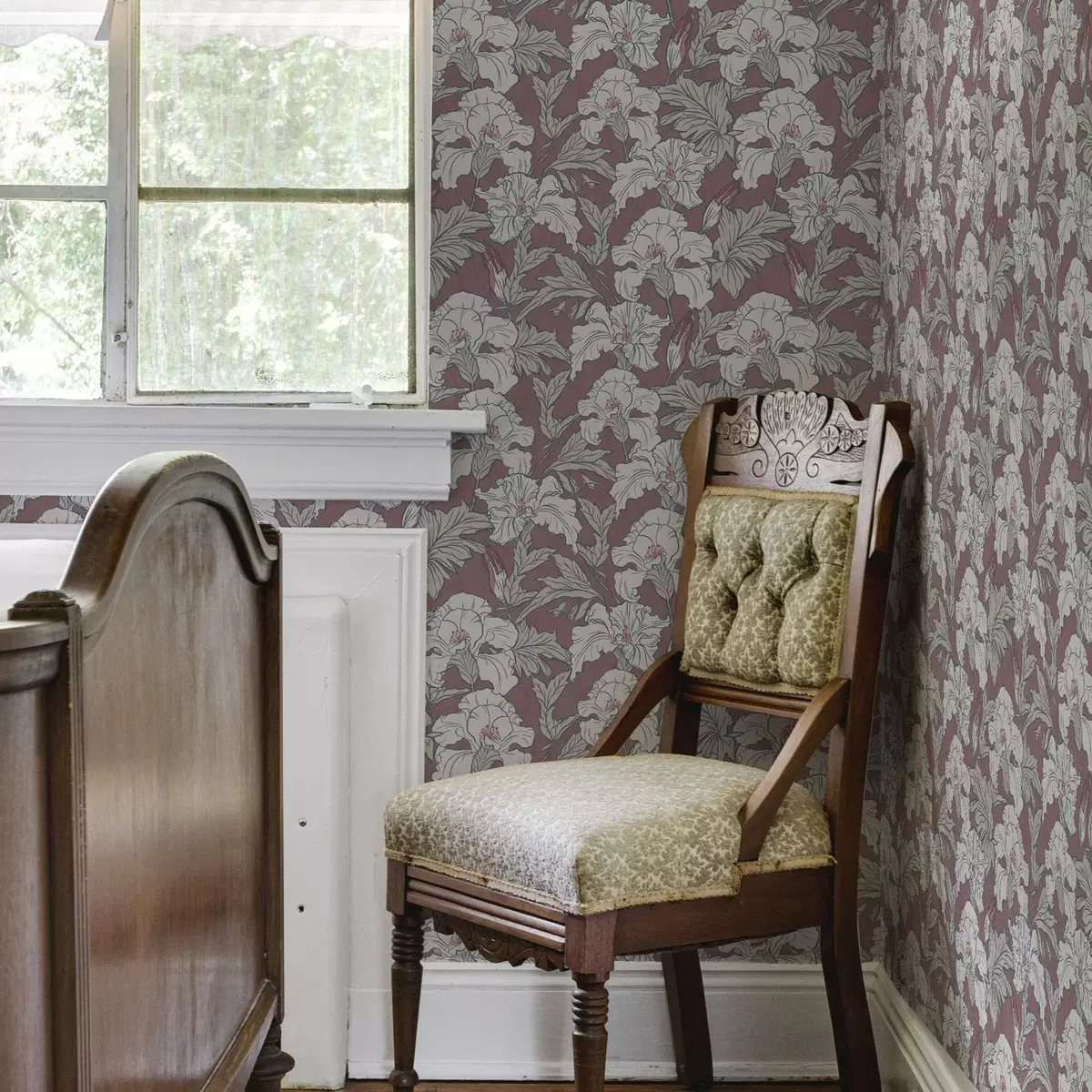 Wallpaper White hibiscus on pink background with red buds a00272