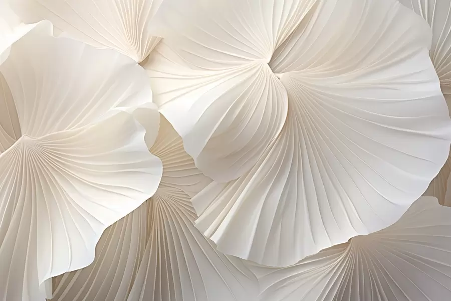 wall murals petals, flowers, white, cream, texture, tenderness, decorative w04216