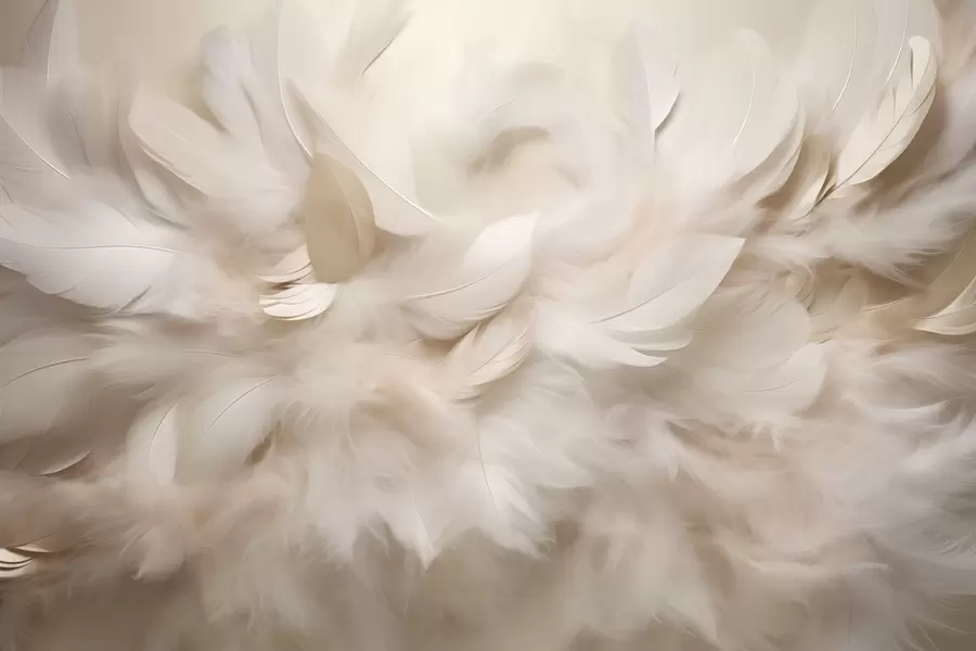 wall murals Fluffy feathers and down in creamy shades w09274
