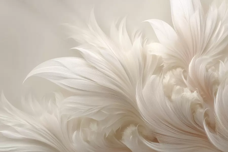wall murals Weightless feathers in vanilla cream hues w09302