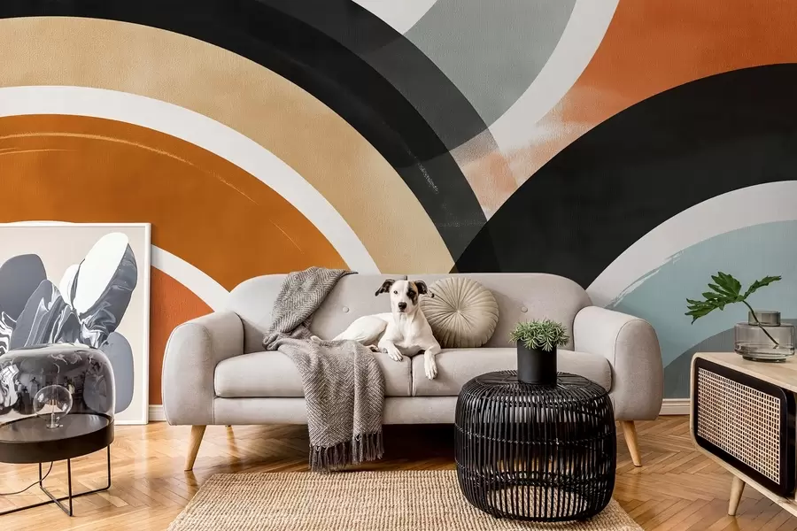 wall murals Abstract multicoloured circles w04425