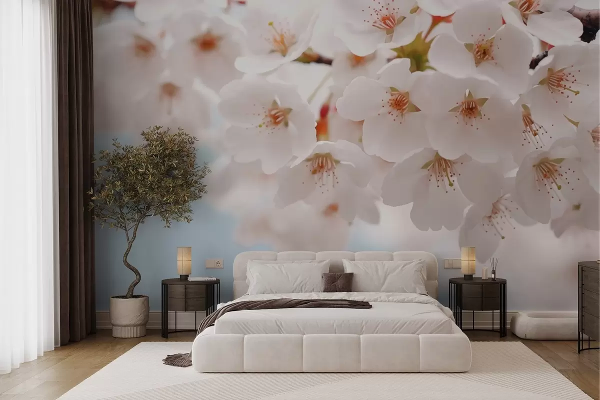 wall murals Delicate cherry blossoms in an artistic style w04160