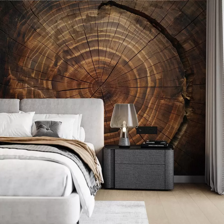 wall murals Tree Rings w04642