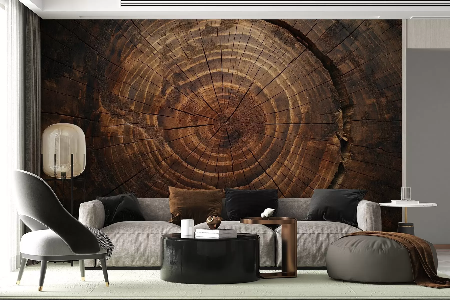wall murals Tree Rings w04642
