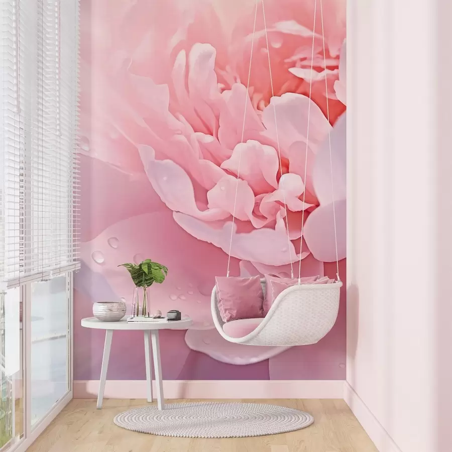 wall murals Large peony petals w04715