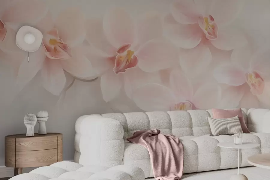 wall murals Orchids w04723