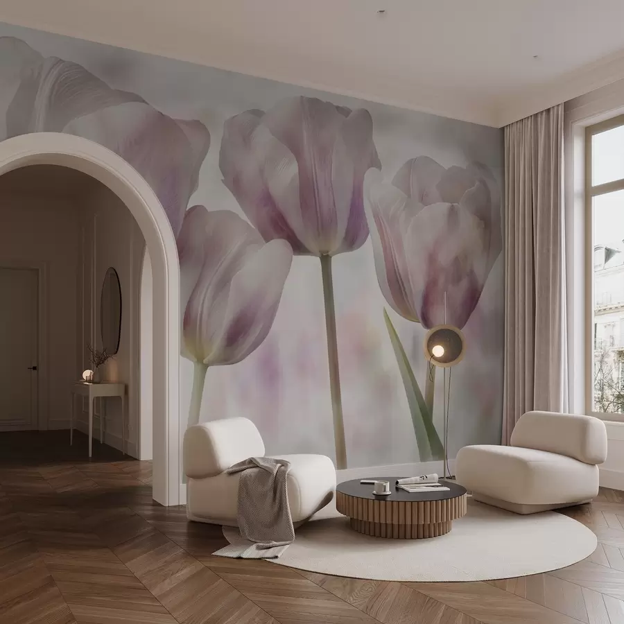 wall murals Tulips in soft colours w04700