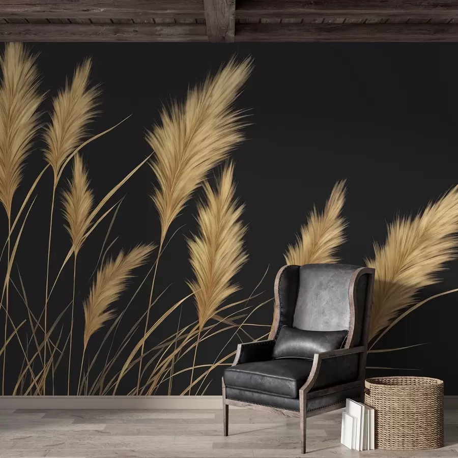 wall murals Fluffy wheat spikes on a dark background w04734
