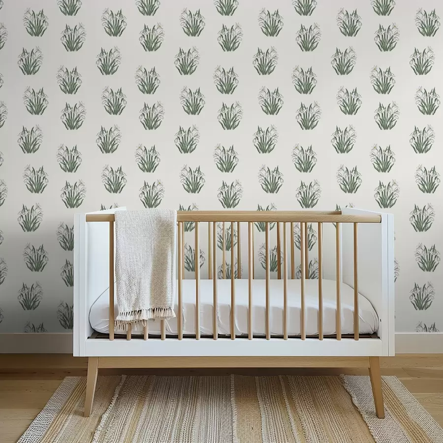wall murals Snowdrops with green leaves on a light gray background a00651v1