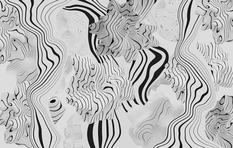 wall murals abstract organic shapes in 3D style in white and grey tones with black stripes w04627