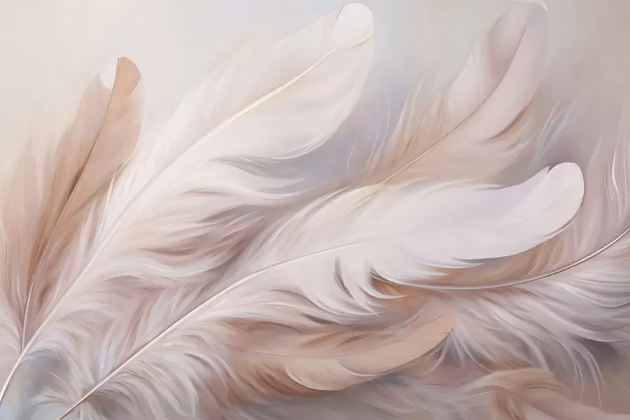 wall murals Feathers w04775