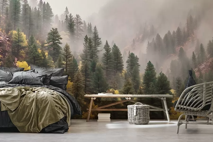 wall murals Atmospheric misty pine forest in the mountains w09463